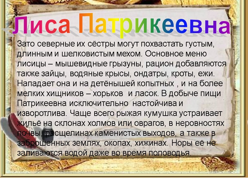 Зато северные их сёстры могут похвастать густым, длинным и шелковистым мехом. Основное меню лисицы